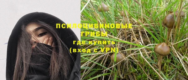гашиш Заводоуковск