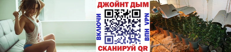 Купить закладки  Суздаль  Канабис Ganja 